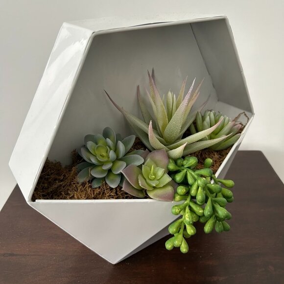 Faux succulents in wall planter - Picture 2 of 5